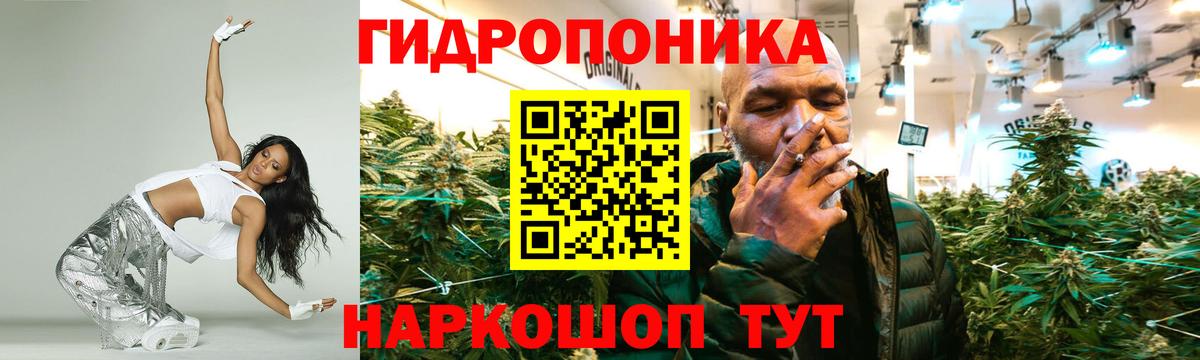 Шишки марихуана гибрид Лыткарино
